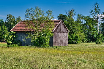 grange de champ, Grange, pellicules, la nature, cabane en bois, agriculture, Chiemgau, Haute Bavière, Toit en tuiles, Scheuer, rustique