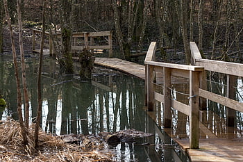 přehnout, spojení, voda, přerušeno, bažina, rybník, krajina, dřevo, dřevěný most, divoký, Příroda