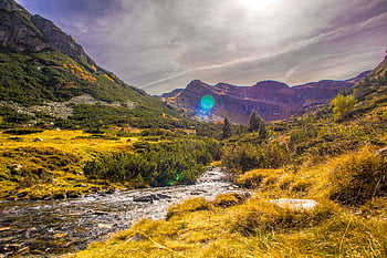 mountain, stream, foliage, trees, grass, nature, landscape, stones, rila, bulgaria, mountains