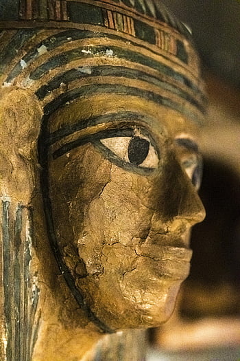 british Museum, museum, culture, collection, art, display, middle East, mesopotamia, egypt, eastern, statue