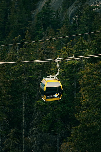 lanovka, lesních stromů, horská doprava, žlutá lanovka, hustý les, pohled, nadzemní lanovka, gondola, horská gondola, lesní doprava, přírodní dobrodružství