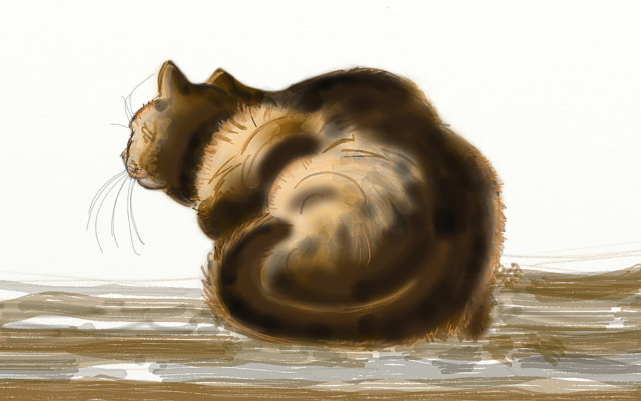 digital art, painting, cat, back view, cat back, dos de chat, Katze, clip art, animal, illustration, feline