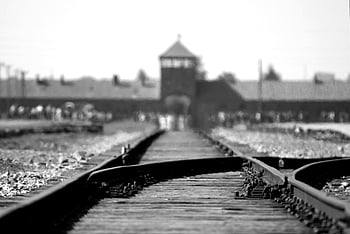 Osvětim birkenau, železniční tratě, Černý a bílý, Historie druhé světové války, koncentrační tábor, památník holocaustu, kolejnic, historické místo, černý kovové vlakové kolejnice, černobílý obraz, Vstup Osvětim