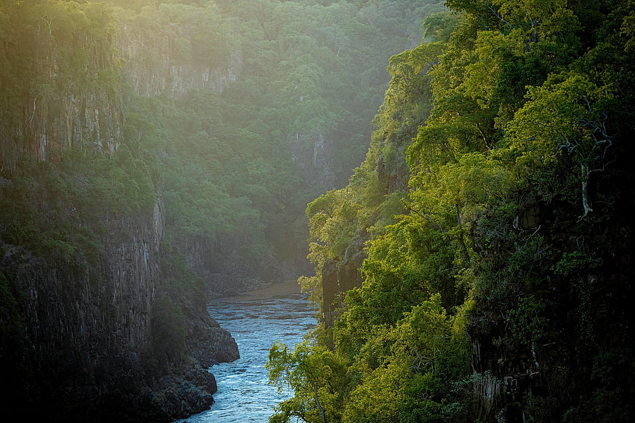 waterfall, river, forest, nature, flow, victoria Falls, scenic, landscape, zimbabwe, africa, autumn