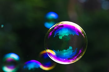 soap Bubble, bubble, reflection, floating, colorful, forest, nature, closeup