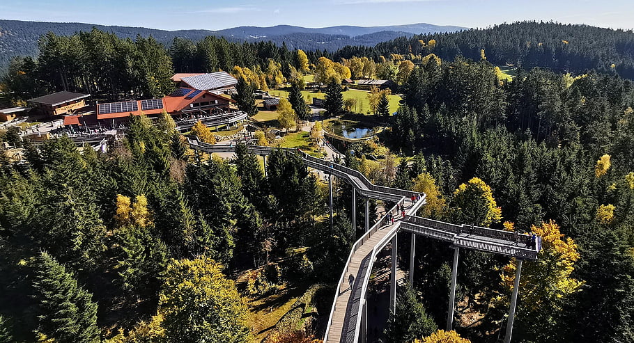 sankt englmar, lesní strom horní stezka, stromy, les, zábavní park, Kruh Straubingova oblouku, niederbayern, bavaria, Německo, výhled, alpaky