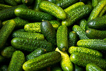 concombre, cornichon, concombre au vinaigre, des légumes, nutrition, manger, aliments