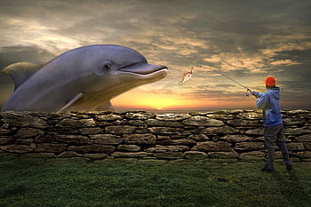 fiskeri, delfin, manipulation, fotomontage, komponere, surrealistisk, surrealisme, kæmpe stor, fisk, pattedyr, fisker