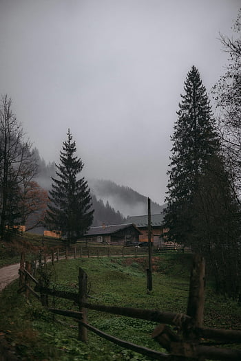venkovská vesnice, stálezelené stromy, Rustikální kabiny, klidná mlhavá scéna, venkovské krajiny, mlhavé ráno, přírodní scenérie, Mírové prostředí, dřevěné ploty, zelená pole, horské pozadí