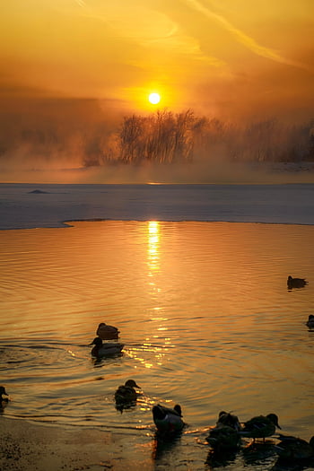 morning, nature, river, winter, frost, fog, air, smoke, gold, light, color