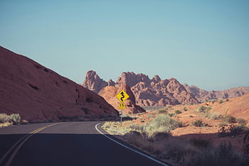 road sign, grass, desert landscape, winding road, speed limit, yellow sign, roadside, natural scenery, outdoor scene, road safety, warning sign