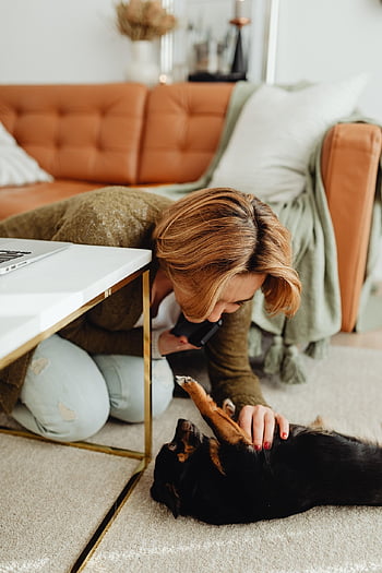 woman, dog, playing, nature, playful, bonding, happiness, pet, animal, girl, pet Owner