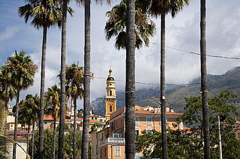 buildings, palm Trees, sea Coast, french Rivera, menton, cote D'azur, france, mediterranian, travel