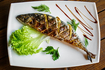pesce cotto, piatto di ceramica, pesce alla griglia, verdure fresche, La salsa frive, pranzo gourmet, Splendidamente placcato, piatto bianco, lattuga, prezzemolo, aneto