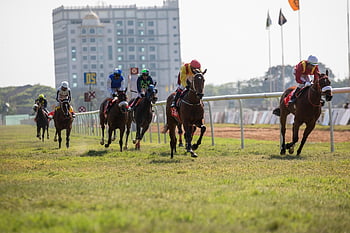 horses, horse Race, horse Racing, horse Riding, horse Running, horsebackriding, horseriding, horsephotography, horseracing, photography By Anil Sharma, horse Race Photography