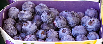 fruct, coacăze, sănătos, vitamine, organic, boabă, nutrienți