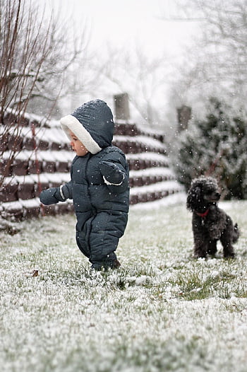 child, dog, pet, snow, poodle, toddler, boy, snowing, nature, miniature Poodle, snowfall