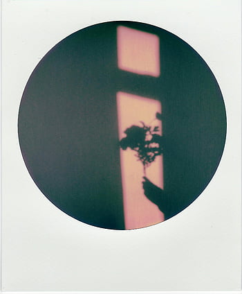 Polaroid photo, hand holding flowers, silhouette, warm-colored window, creative art, shadow photography, floral silhouette, artistic composition, circular frame, polaroid art, hand silhouette