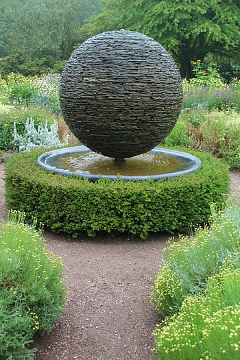 kert, sövény, fa, természet, zöld, park