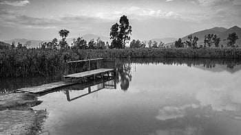 scenario, calma, natura, tranquillo, lago, silenzioso, pace, campagna, naturale, scena, grigio calmo