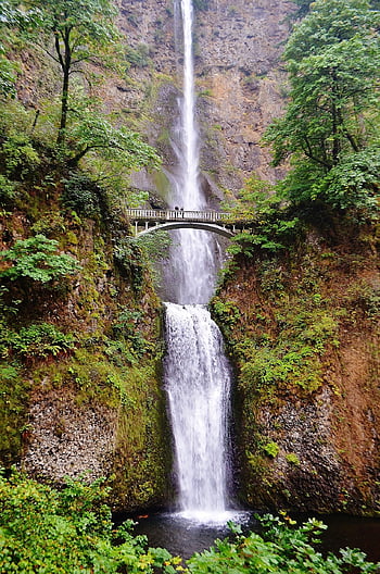 il multnomah cade, doppie cascate d'acqua, caduta dell'acqua, paesaggio, Stati Uniti d'America, panoramico, spettacolo, gola del fiume Columbia, Oregon, viaggio, natura