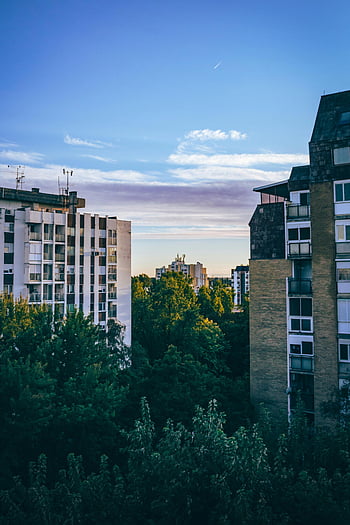 apartment buildings, clear blue sky, urban apartment buildings, lush green trees, beautiful view, cityscape, residential buildings, greenery, urban landscape, blue sky, city trees