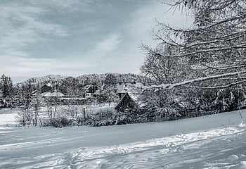 houses, village, snow, winter, forest, mountain, trees, snowdrift, frost, cold, nature