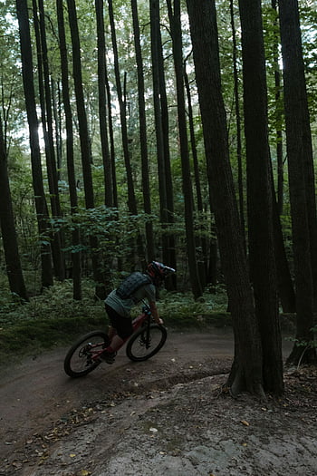 mountain biking, forest trail, cyclist, mountain bike, woods, skillful maneuver, outdoor activity, nature, adventure, trail edge, trees