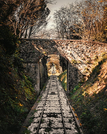 stone bridge, railway tracks, Montecatini Terme, forest, scenic view, arch bridge, train tracks, natural scenery, stone arch, railway bridge, forest landscape