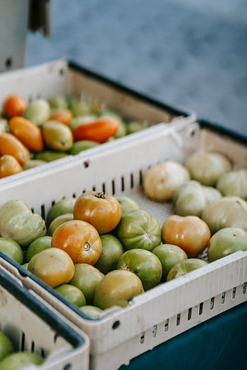 green tomatoes, market crates, fresh tomatoes, vibrant display, orange tomatoes, market display, fresh produce, green produce, market scene, tomato crates, fresh vegetables