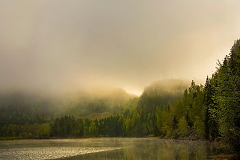 jezero, les, stromy, hora, mlha, mrak, voda, svítání, ráno, Příroda, krajina