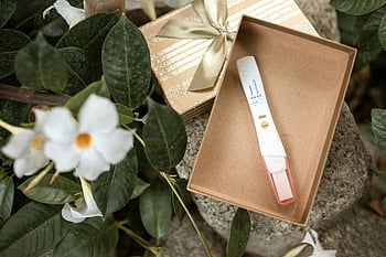test de grossesse, fleur blanche, boîte brune, boite cadeau, feuilles vertes, boîte ouverte, arrangement floral, annonce de grossesse, test médical, cadre naturel, boîte décorative