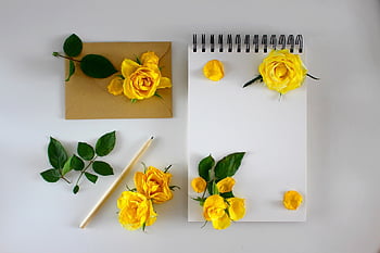 poznámkový blok, růže, dopis, obálka, milostný dopis, žluté růže, žluté květy, romantický, Poznámka, notebook, deník