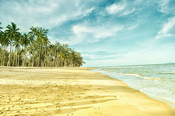 palmbomen, strand kust, tropisch strand, golven, blauwe lucht, uitzicht over de oceaan, ontspannend strand, Serene strand, zandstrand, strandlandschap, kustlandschap