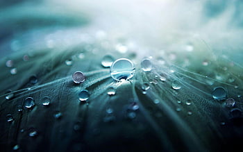 waterdruppels, grijs textiel, Close-up shot, veer, zachte focus, zachte verlichting, macrofotografie, natuurfotografie, water kralen, textiel textuur, natuurlijk licht