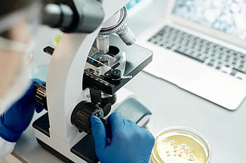 scientist, microscope, close-up, laboratory, biological samples, researcher, analysis, gloves, laptop, petri dish, science