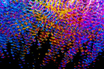 abstract painting, multicolored art, vibrant hues, fluid patterns, eye-catching art, abstract art, colorful patterns, multicolored abstract, abstract fluid art, vibrant abstract, multicolored fluid