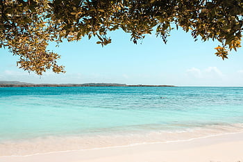 tengeri tájkép, nyugodt strand, Tiszta türkizkék vizek, Falcón venezuela, trópusi menekülés, strand jelenet, türkizkék víz, strandra néző kilátás, part menti táj, tengerparti pihenés, trópusi tengerpart