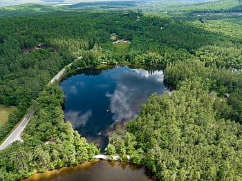 letecký, les, rybník, krajina, Příroda, trubec, venku, scénický, voda, stromy, pobřeží