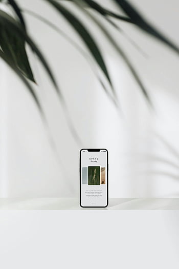 κινητό τηλέφωνο, λευκή επιφάνεια, σύγχρονο smartphone, μινιμαλιστικό σχεδιασμό, φυτικές σκιές, προβολή ιστότοπου, καθαρό φόντο, ψηφιακή συσκευή, τεχνολογικό gadget, εσωτερική ρύθμιση, φυσικό φως