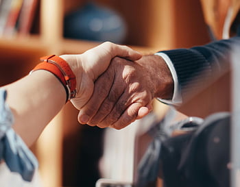 handshake, lidé potřesení rukou, obchodní dohody, detail, dva lidé, symbolizující dohodu, Profesionální handshake, obchodní handshake, formální pozdrav, partnerství, spolupráce