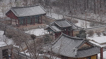 yerim seowon, Jižní Korea, zimní, město sejong, škola, joseon, duksungseowon, Stará korejská přednášková síň, Korea, sníh
