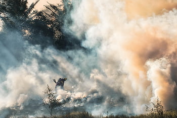 firemen, fire, smoke, rescue, brave, hero's, grass Fire, forest Fire, dangerous, job, douse