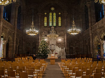 Strasbourg, New Temple, interior, stained glass windows, pink sandstone, chandeliers, Christmas tree, symmetry, neo-Romanesque, columns, arches