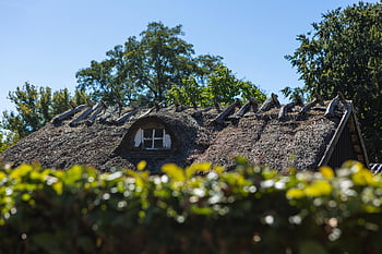 house, thatched Roof, roof, baltic Sea, denmark