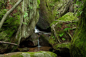 cascada, bosque, corriente, naturaleza, río, agua, paisaje, rocas, chapoteo, ambiente, fluido