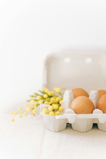 oua brune, cutie de carton, Flori de mimoză galbenă, Paști, setare minimalistă, tava de ouă, primăvară, aranjament floral, Ouă naturale, oua decorative, decor de sezon