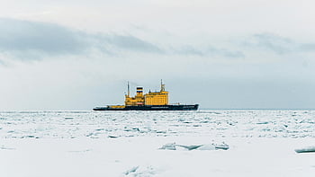 砕氷船、 凍った水、 セントピーターズバーグ、 ロシア、 冬、 黄色の砕氷船、 セーリング、 氷、 寒い気候、 海上、 ナビゲーション