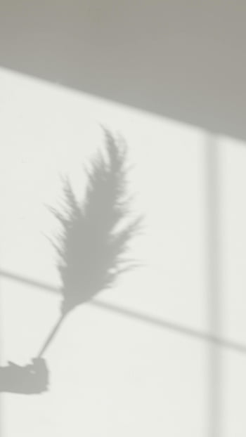 stín umění, ruční stín, sušené listy, Minimalistické umělecké dílo, přirozené světlo, estetický stín, fotografování stínů, minimalistický design, hra stínů, Umělecký stín, přírodní stín