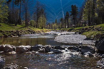 řečiště, kameny, štěrkové lože, hora, tok, stromy, krajina, weissach, tegernsee, Alpy, jaro